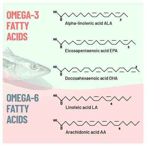 omega 3 and omega 6.